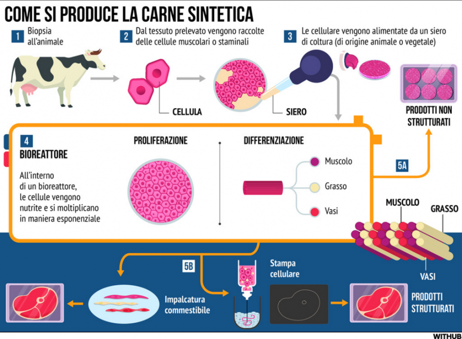 Mishi sintetik, çfarë është dhe si prodhohet