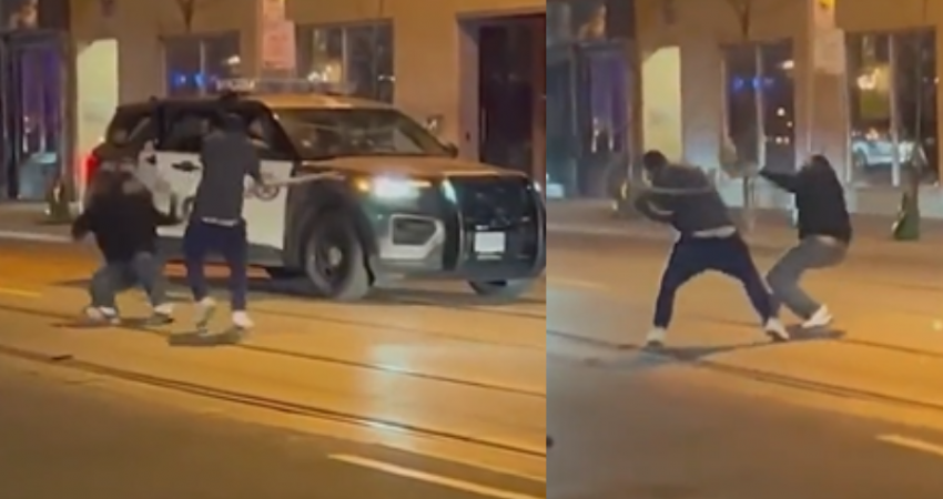 Qytetari tmerron një person në mes të rrugës, e godet disa herë me gjarpër të gjallë (VIDEO)