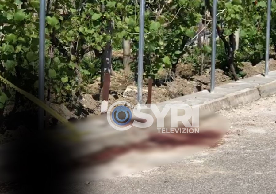 Krimi në Elbasan, burri i vrau motrën, flet bashkëshortja e tij: Ishte nxehur se nuk hapi telefonin! Do kërkojmë dënimin, e ka hak