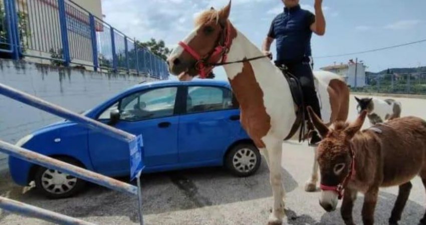 Zgjedhjet në Greqi, fermeri shkon për të votuar me kalë e gomar