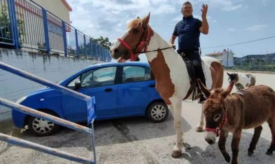 Zgjedhjet në Greqi, fermeri shkon për të votuar së bashku me kalin dhe gomarin