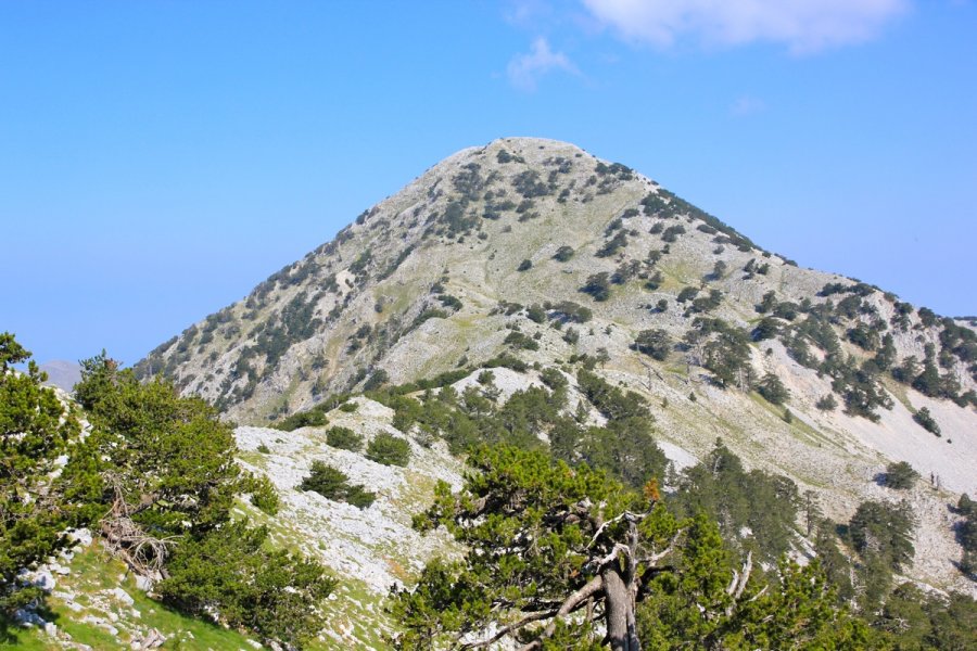Humbën rrugën në malet e Vlorës, gjenden dy turistë anglezë