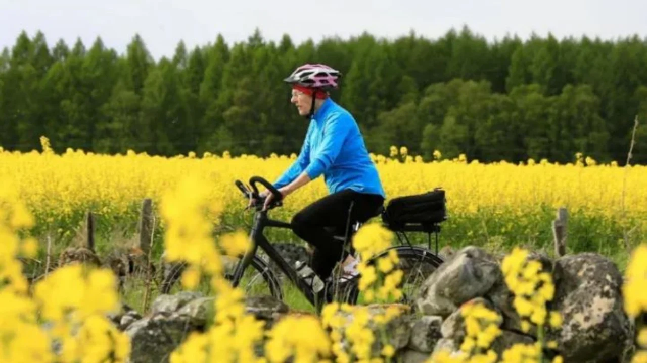 Historia e trishtë e  85-vjeçares, pasi humbi tre fëmijët e saj  filloi të udhëtonte me biçikletë