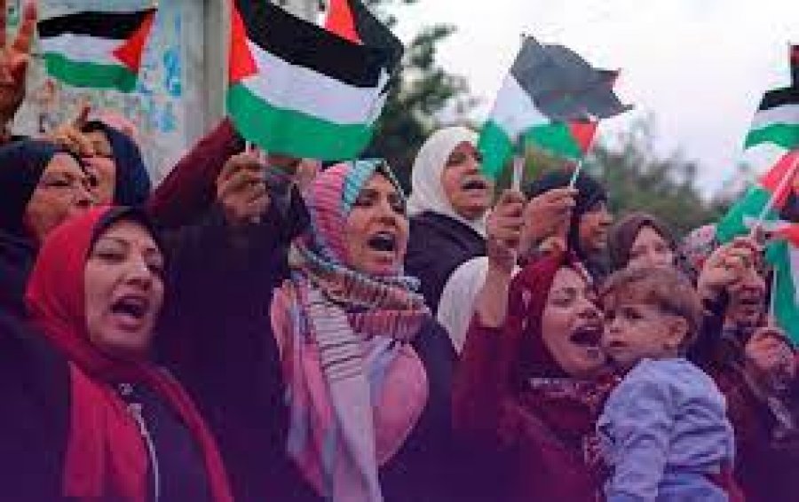 'Asgjë nuk ka mbetur'/ Mijëra palestinezë ikin në jug