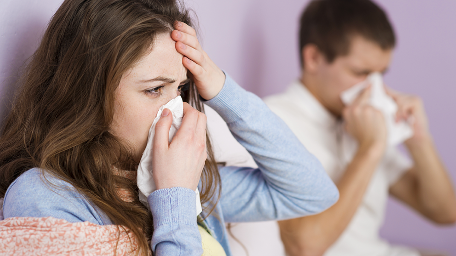 Gripi dhe i Ftohti nuk Ngjiten nga e Puthura – Lexoni Gjithçka Duhet të Dini
