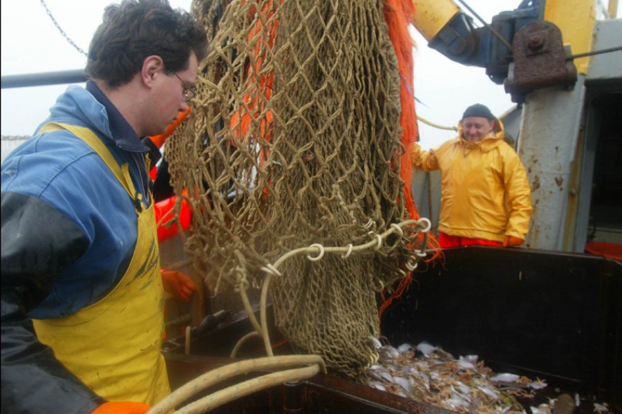 BE dhe shtetet fqinje angazhohen të shtojnë kontrollin mbi peshkimin në Mesdhe dhe Detin e Zi