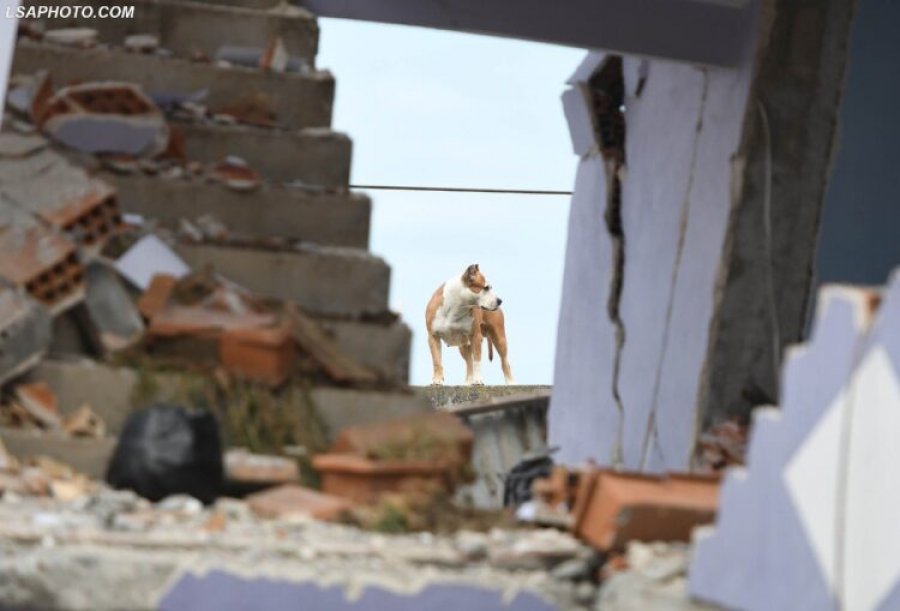 Katër vjet pas tërmetit, mijëra banorë në Durrës në mes të katër rrugëve