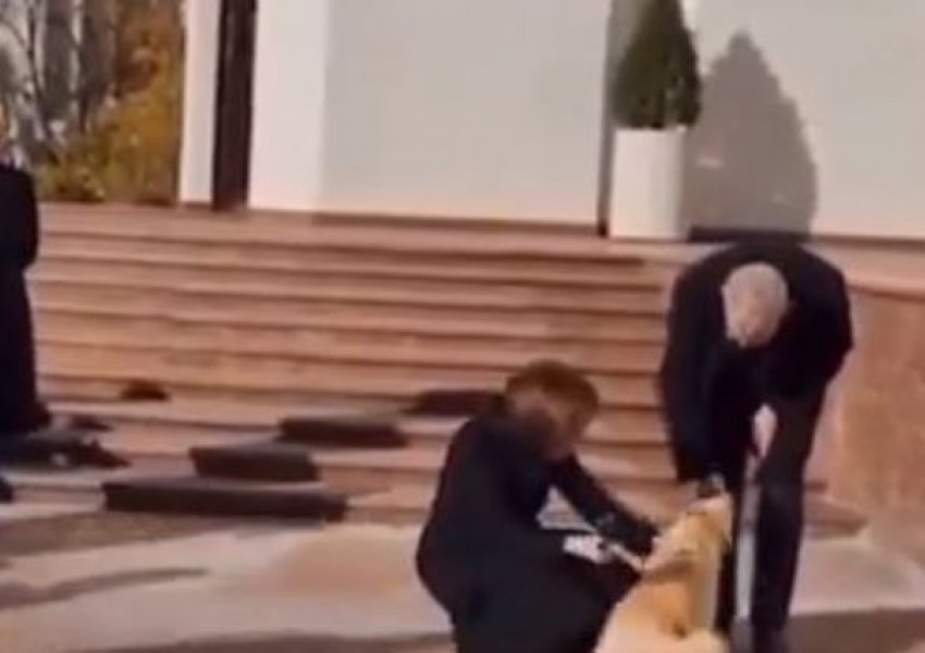 VIDEO- Incidenti në Moldavi, presidenti austriak kafshohet nga qeni i homologes moldave