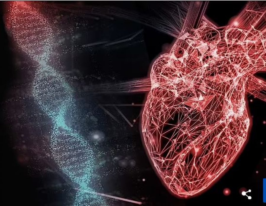 Shkencëtarët në prag të kurës për sëmundjet e zemrës, me ilaçe që ndryshojnë ADN-në