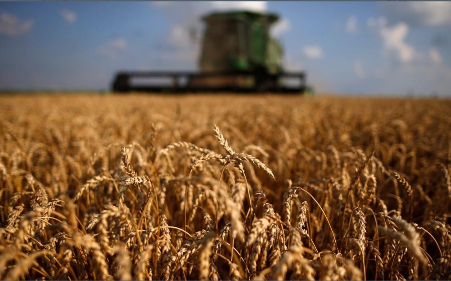Lufta në Ukrainë vazhdon të shkaktojë paqëndrueshmëri në sektorin e bujqësisë në mbarë botën