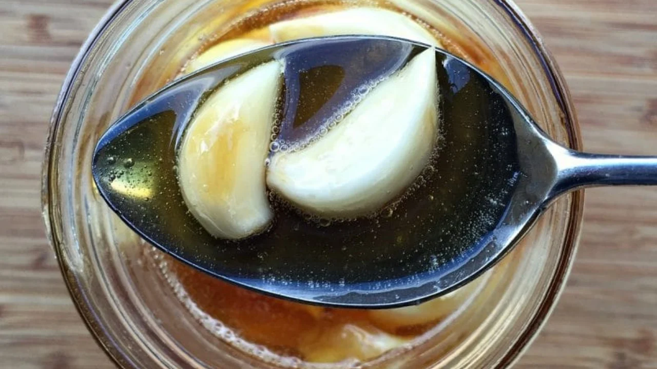 Provoni hudhra me mjaltë dhe zbuloni përfitimet shëndetësore