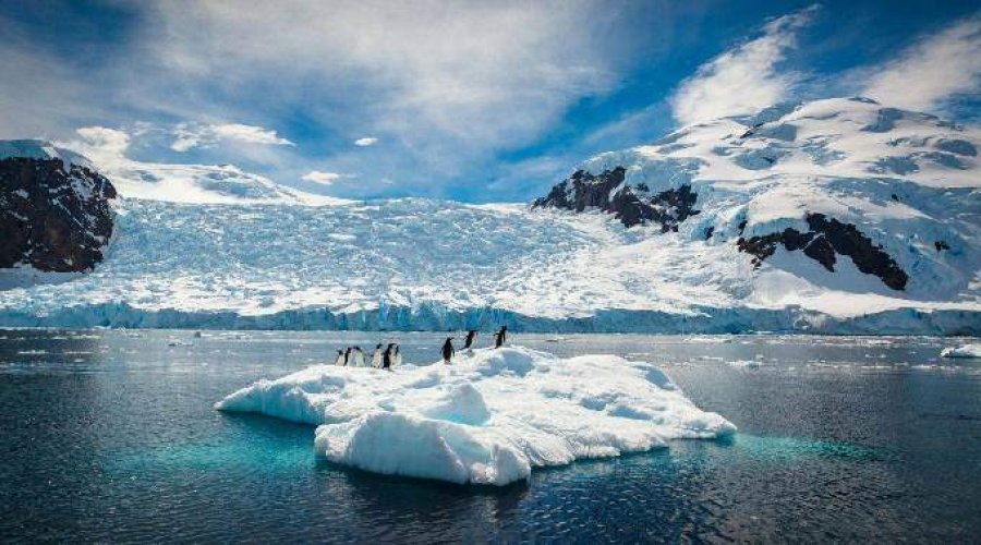 Antarktida, Galapagos dhe më tej: Pesë destinacione jo të zakonshme të arritshme me lundrim
