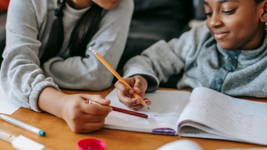 A janë detyrat e shtëpisë efektive për nxënësit?