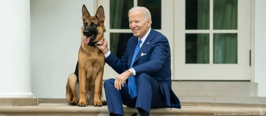 Ambjent stresues- qeni i Bidenit dëbohet ngaShtëpia e Bardhë' se kafshoi stafin!