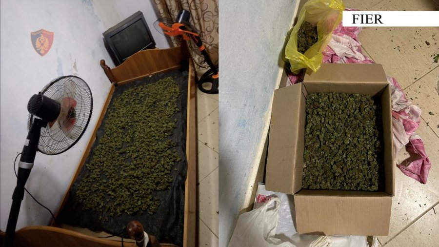 Bie në pranga 43-vjeçari më dy emra: Iu gjetën 2 kg lëndë narkotikë në banesë