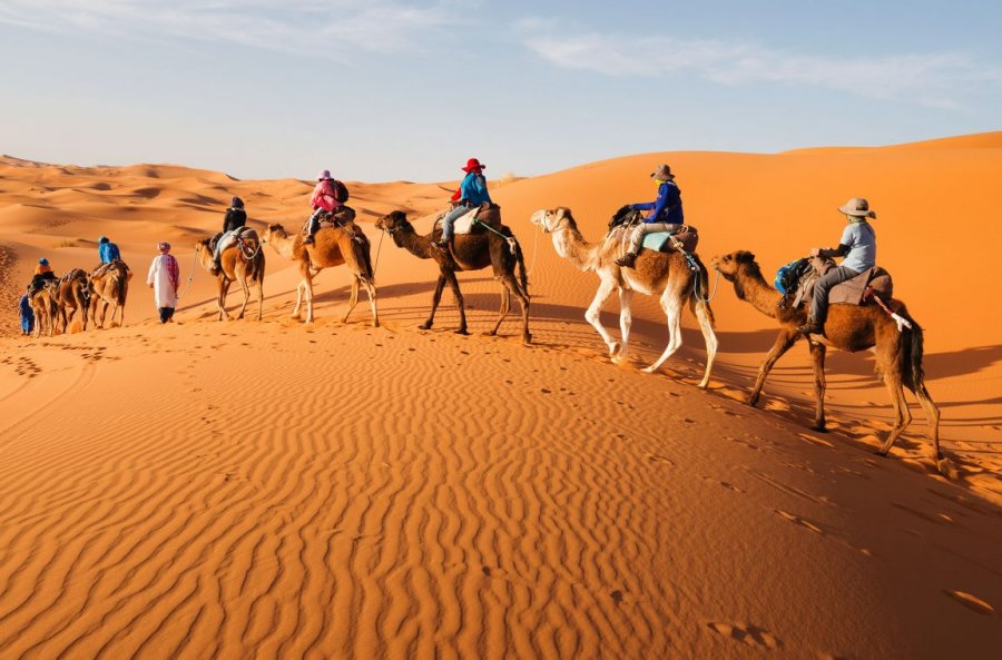 Disa kuriozitete befasuese për shkretëtirën e Saharasë