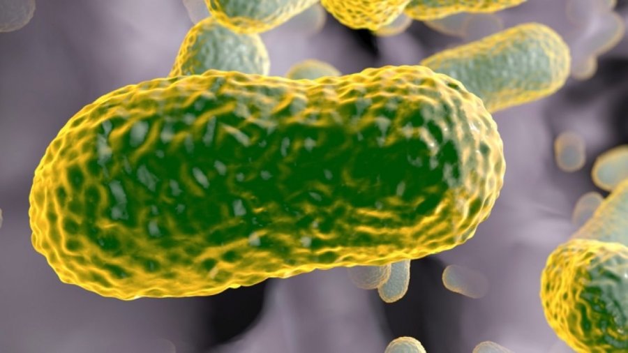 Një antibiotik i harruar prej kohësh mund të jetë shpëtimi ynë: Kërkimi shkencor që rikthen shpresën