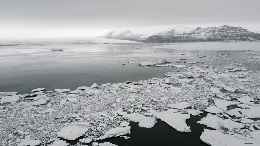 Antarktiku fsheh një sëmundje shumë të rëndë, një popullatë e tërë shpendësh kërcënohet me zhdukje