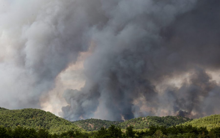 Greqi, zjarret në Evros hyjnë në ditën e 15-të