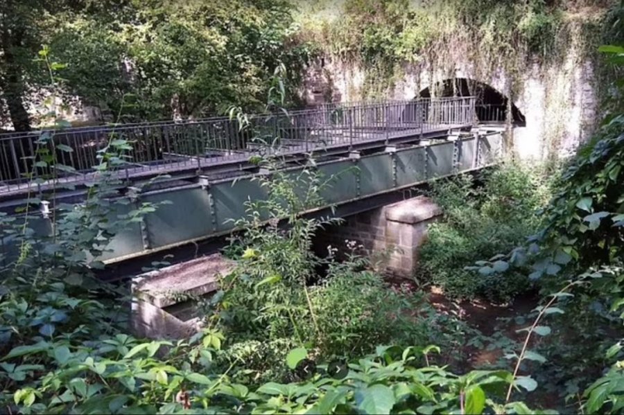Policia gjermane në kërkim të rusit, hodhi nga ura një të mitur ukrainas