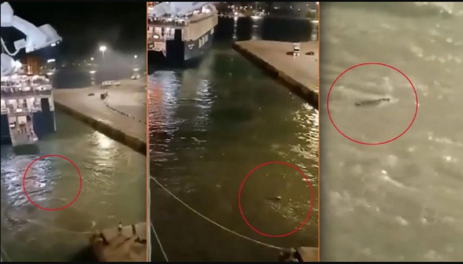 VIDEO tronditëse/ Si ekuipazhi i anijes në Pire mbyti një të ri