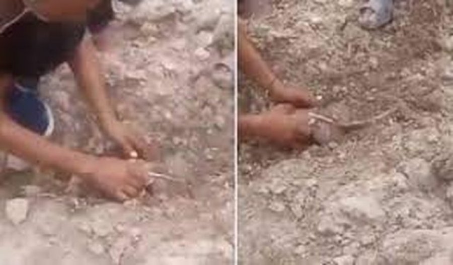 Video rrënqethëse/ Momenti kur foshnja e porsalindur nxirret e gjallë nga rrënojat pas tërmetit në Marok