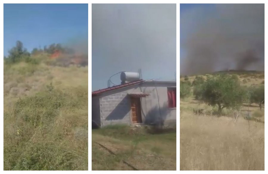 Zjarri në Fier, deputeti i PD publikon pamjet: Po rrezikohen shtëpitë e banorëve!
