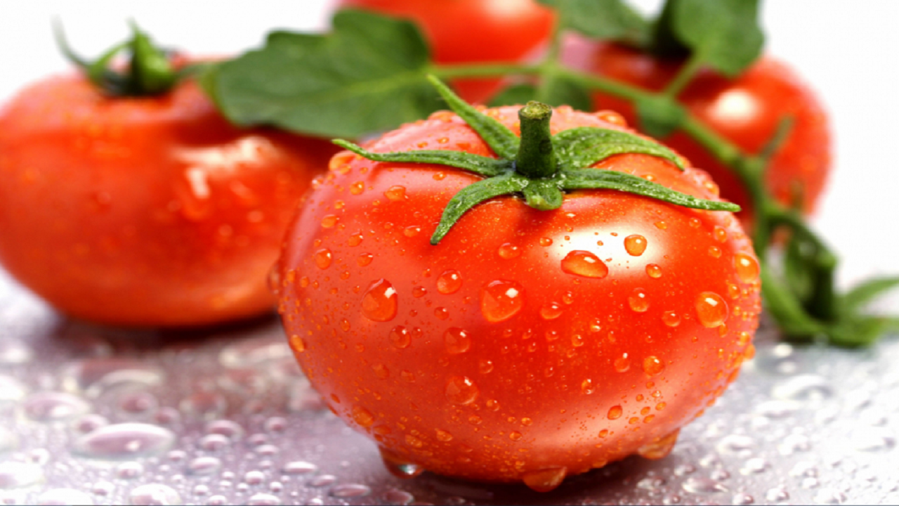 Si të dalloni domatet organike nga OMGJ-të? Faktet që duhet t’i dini