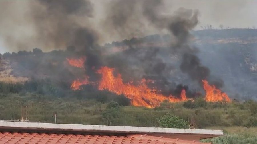 Zjarr në Berat, merr flakë një parcelë me ullishte në fshatin Veleshnje