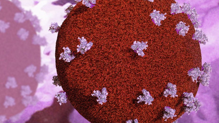 Të paktën 5 persona janë shëruar nga HIV, a po merr fund pandemia e SIDA-s?