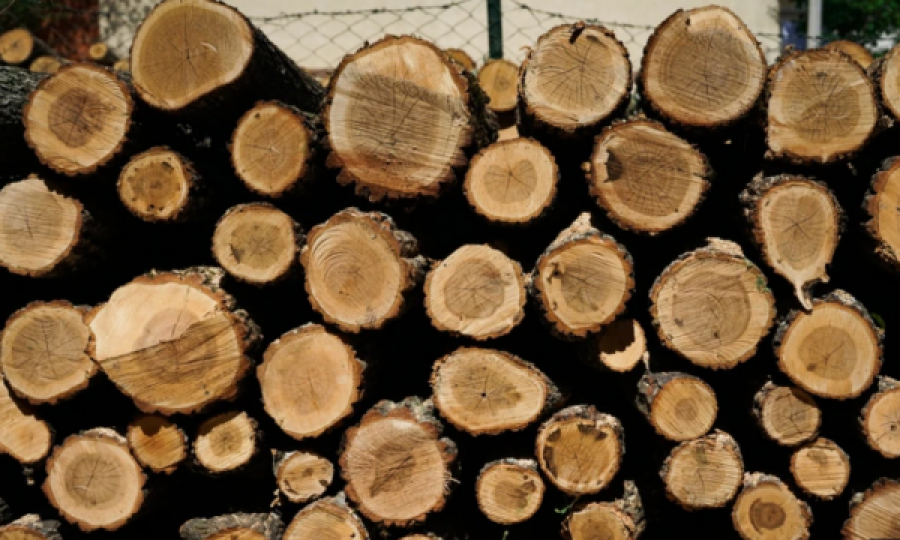Një metër dru po shitet deri në 65 euro, qytetarët ankohen për çmimin dhe mashtrimet në matje