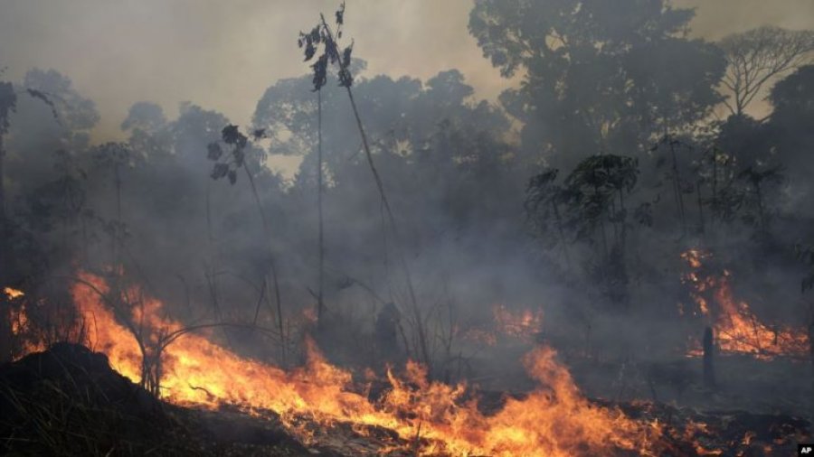 Ndezi zjarr për djegien e mbeturinave në Kashar, por flakët përfshinë një sipërfaqe toke me ullinj! Arrestohet 55-vjeçari