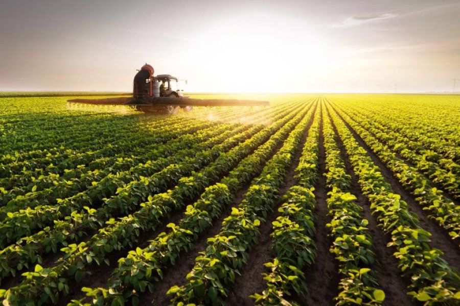 E ardhmja e bujqësisë – Kimistët zbulojnë pesticide të sigurta për bujqësinë organike