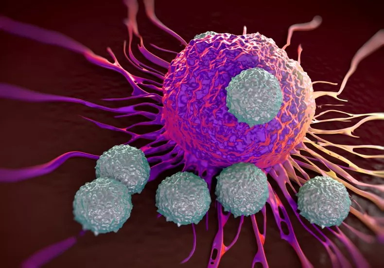 Shkencëtarët zbulojnë se si kanceri krijon 'murin acid' kundër sistemit imunitar