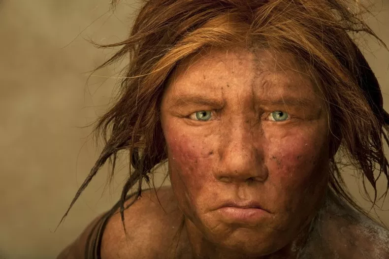 Neandertalët ishin 'më njerëzorë' nga ç'mendohej