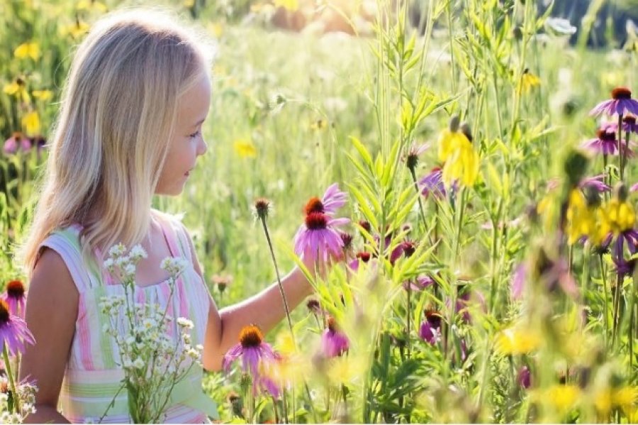 Studimi: Fëmijët që rriten pranë hapësirave të gjelbra janë emocionalisht më të shëndetshëm