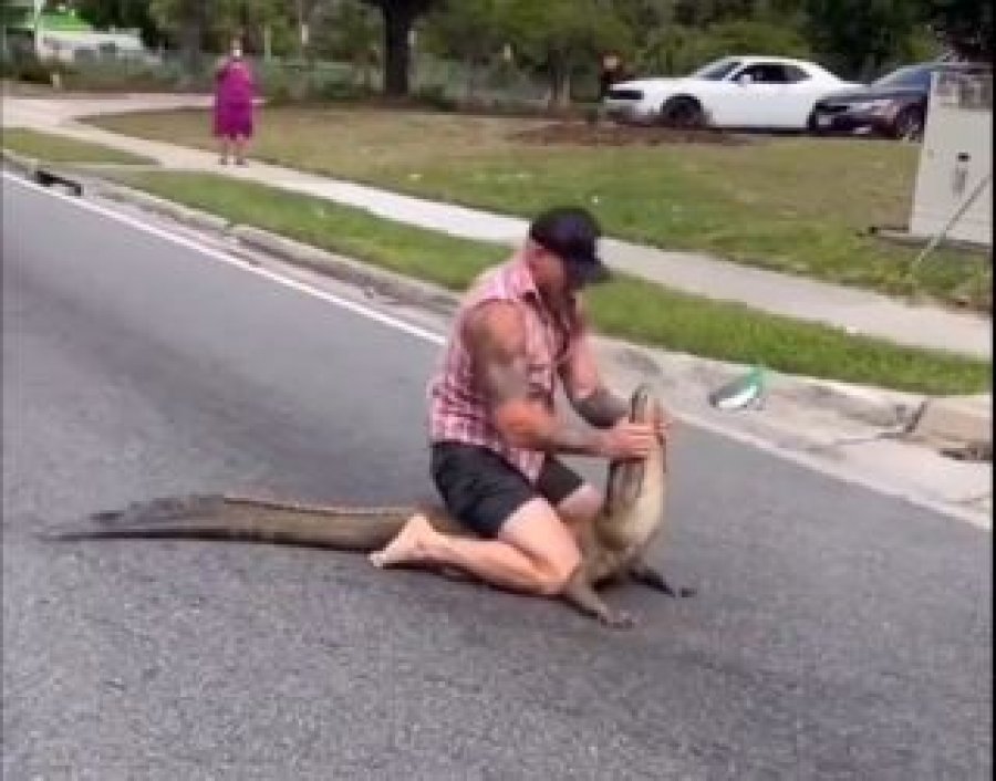 VIDEO/ Florida, burri ndalon aligatorin 2.5 metra vetëm me duar 