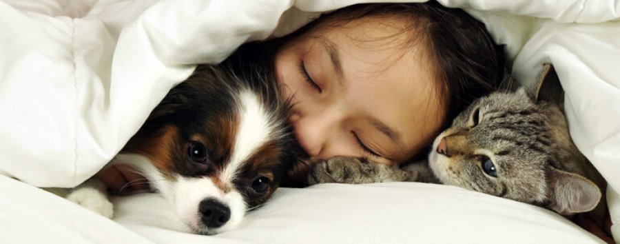 A është e shëndetshme që fëmijët të flenë me kafshët shtëpiake?