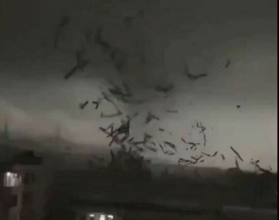 VIDEOT E FRIKSHME nga Kina/ Tornadoja e fuqishme godet Guangzhou, të paktën 5 të vdekur dhe 33 të plagosur