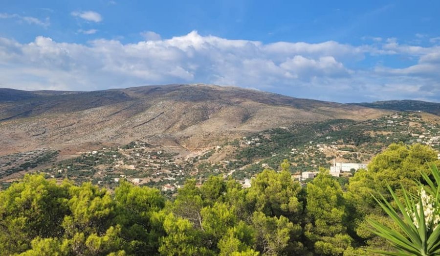Sot vrau gruan me sëpatë, më herët babai i tij kishte vrarë tri gra të tjera 