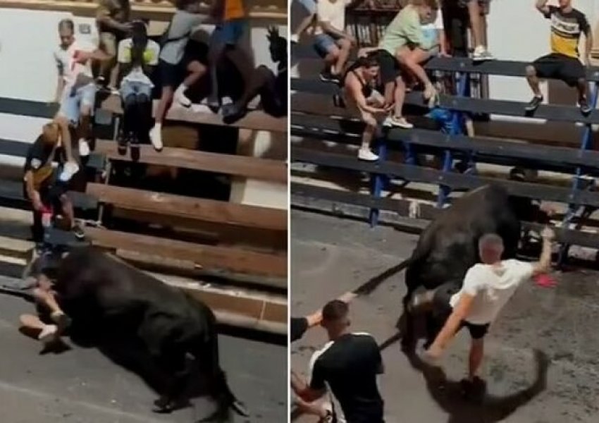 Tmerr në një festival në Spanjë, demi i tërbuar godet pa mëshirë një burrë