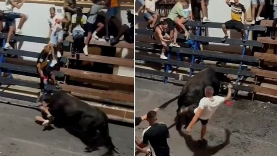 Tmerr në një festival në Spanjë, demi i tërbuar godet pa mëshirë një burrë