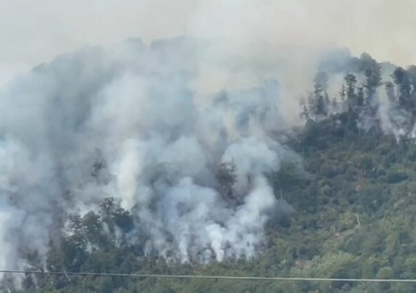 Zjarri rrezikon banesat në Bulqizë, kërkohet ndërhyrje nga ajri