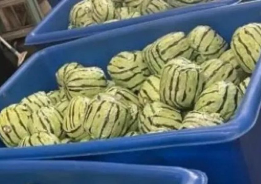 E fshehur mes shalqinjve, sekuestrohet substanca me vlerë 5 milionë dollarë në SHBA