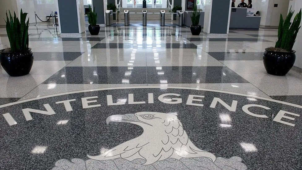 Agjenti hakerues i CIA dënohet me 40 vjet burg