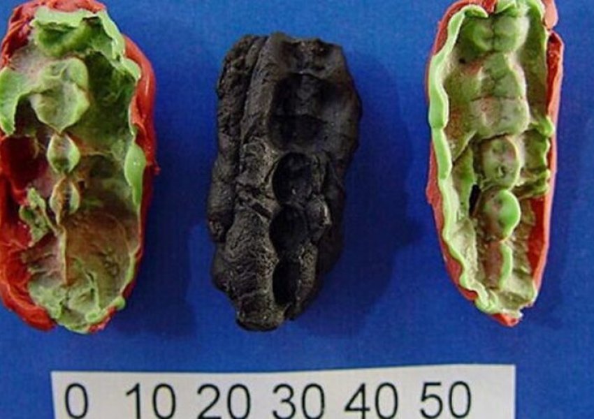 Zbulohen 3 çamçakëzat më të vjetër në histori, janë përtypur 10 mijë vjet më parë