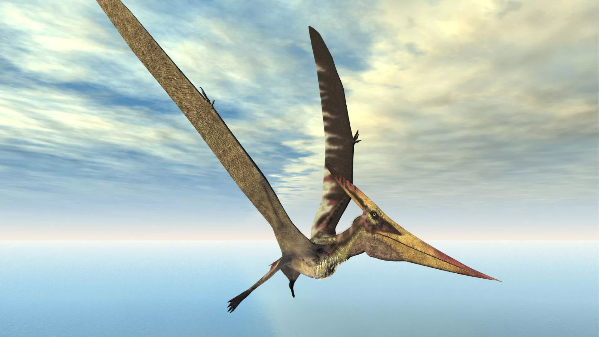 Dinozauri i ri – eshtra e një zvarraniku fluturues që u zbulua në Skoci