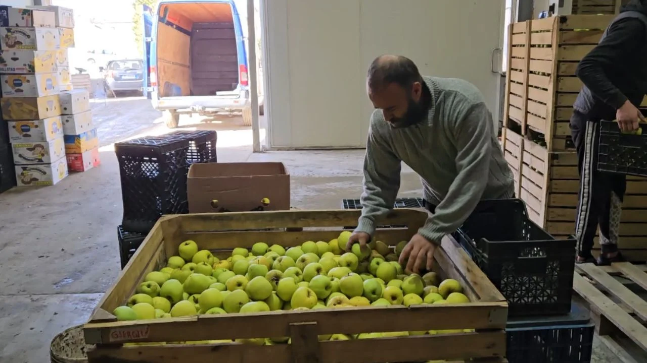 Mijëra ton me molla vendore në Shqipëri mbeten në magazina, po konkurrohen nga ato të Serbisë