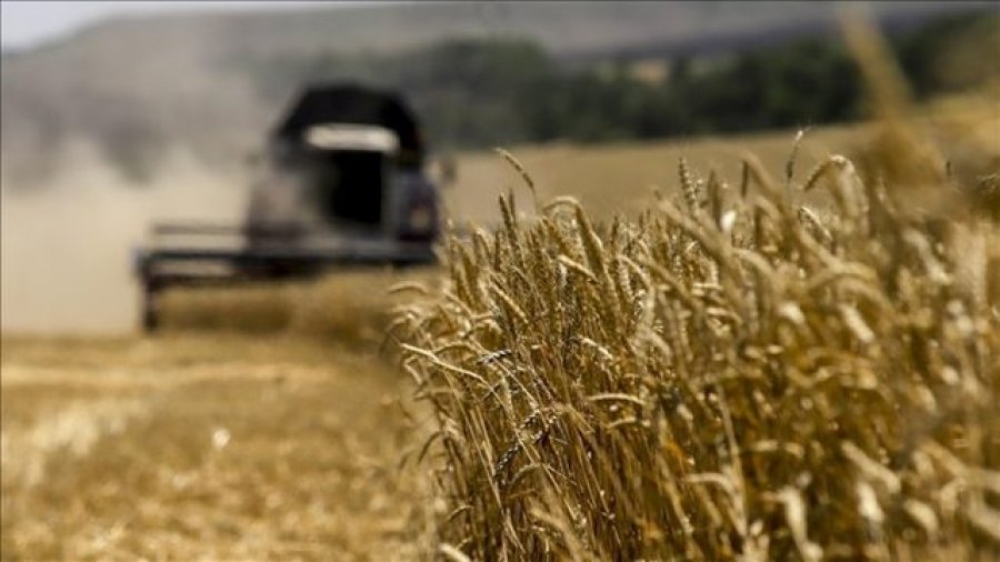 Rusia dorëzon 200,000 tonë drithë falas në gjashtë vende afrikane
