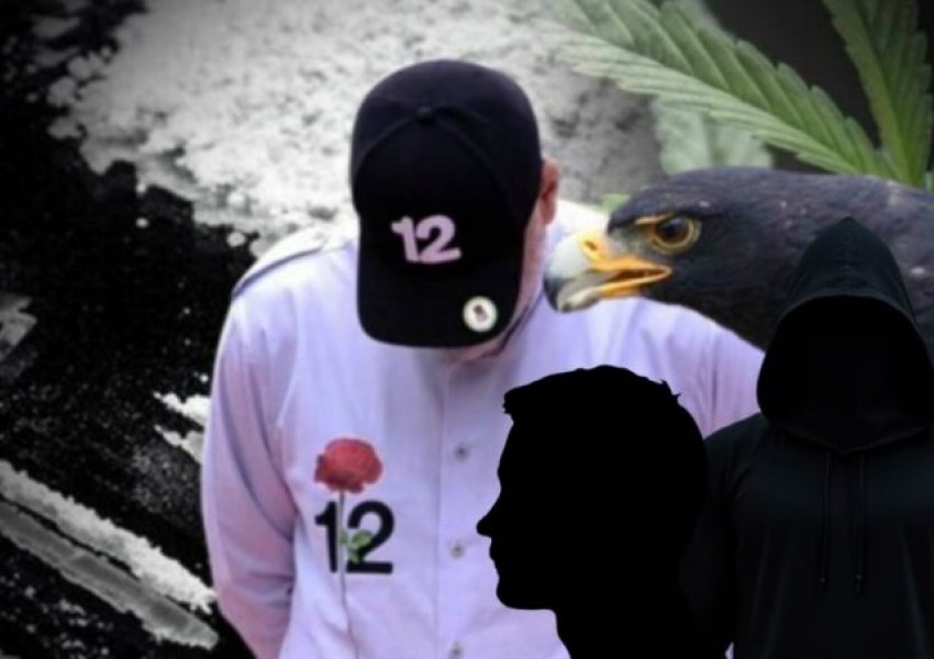 ‘Black Eagle’/ Qeveria Rama ‘njësh’ me krimin, kush janë 2 bosët shqiptarë me lidhje politike